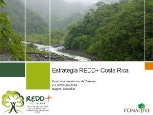 Estrategia REDD Costa Rica Foro Latinoamericano de Carbono