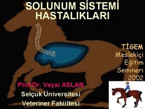 SOLUNUM SSTEM HASTALIKLARI Prof Dr Veysi ASLAN Seluk