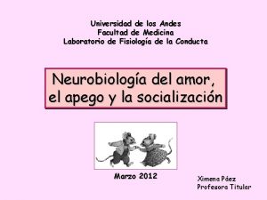 Universidad de los Andes Facultad de Medicina Laboratorio