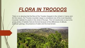 FLORA IN TROODOS There is no denying that