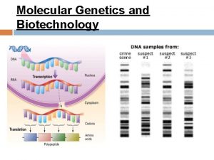 Molecular genetics and biotechnology