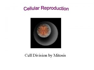 Cell Division by Mitosis all living things start