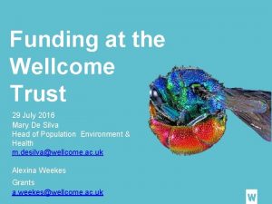 Funding at the Wellcome Trust 29 July 2016