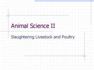 Animal Science II Slaughtering Livestock and Poultry Objective