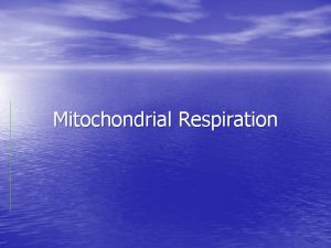 Mitochondrial Respiration Respiration Glycolysis Citric acid cyclekrebs cycle