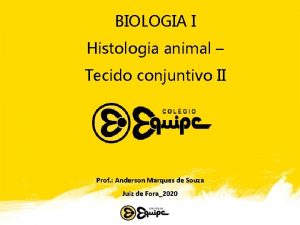 BIOLOGIA I Histologia animal Tecido conjuntivo II Prof