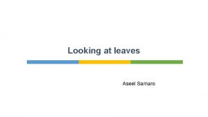 Looking at leaves Aseel Samaro Introduction Leaves are