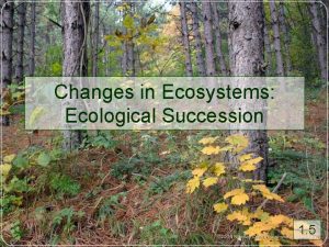 Changes in Ecosystems Ecological Succession 1 5 Changes