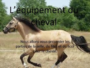 Lquipement du cheval Nous allons vous prsenter les