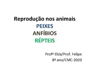 Reproduo nos animais PEIXES ANFBIOS RPTEIS Prof EldaProf