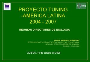 PROYECTO TUNING AMRICA LATINA 2004 2007 REUNION DIRECTORES