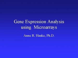 Gene Expression Analysis using Microarrays Anne R Haake