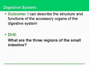 Maniken digestive system