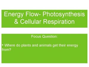 What is the equation for cellular respiration