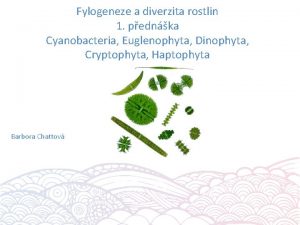 Fylogeneze a diverzita rostlin 1 pednka Cyanobacteria Euglenophyta