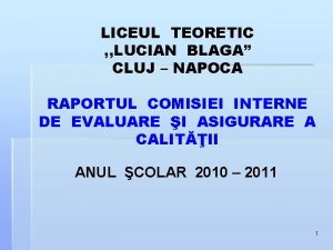 LICEUL TEORETIC LUCIAN BLAGA CLUJ NAPOCA RAPORTUL COMISIEI