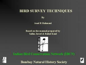 Bird census techniques pdf