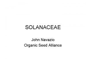 SOLANACEAE John Navazio Organic Seed Alliance Solanaceae 90