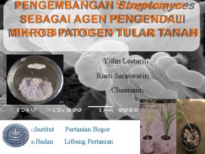 PENGEMBANGAN Streptomyces SEBAGAI AGEN PENGENDALI MIKROB PATOGEN TULAR