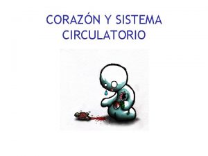 CORAZN Y SISTEMA CIRCULATORIO SISTEMA CIRCULATORIO FUNCIONES PRINCIPALES