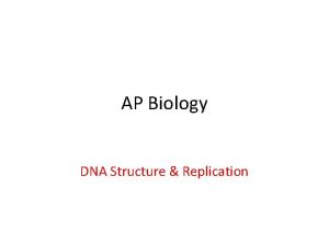 AP Biology DNA Structure Replication Nucleic Acid Structure