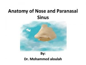 Roof nasal cavity Roof nasal cavity