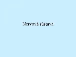 Nervov sstava NERVOV SSTAVA systema nervosum Z hadiska