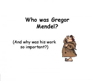 Gregor mendel laws