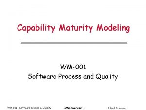 Capability Maturity Modeling WM001 Software Process and Quality