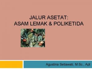 JALUR ASETAT ASAM LEMAK POLIKETIDA Agustina Setiawati M