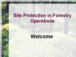Site Protection in Forestry Operations Welcome We are