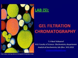 Gel filtration chromatography lab