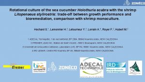 Rotational culture of the sea cucumber Holothuria scabra