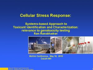 Cellular Stress Response Systemsbased Approach to Toxicant Identification