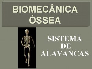 BIOMEC NICA SSEA SISTEMA DE ALAVANCAS SISTEMA DE