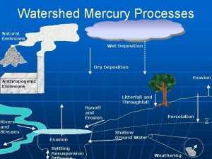 Watershed Mercury Processes Natural Emissions Wet Deposition Dry