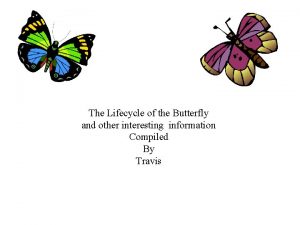 The Lifecycle of the Butterfly and other interesting