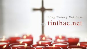 Tin thac net