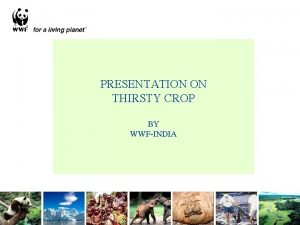 Thirsty crop