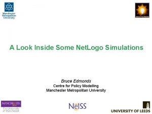 A Look Inside Some Net Logo Simulations Bruce