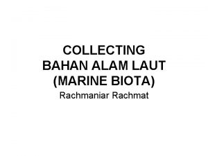 COLLECTING BAHAN ALAM LAUT MARINE BIOTA Rachmaniar Rachmat