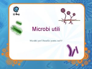 Microbi utili Microbii pot fi benefici pentru noi