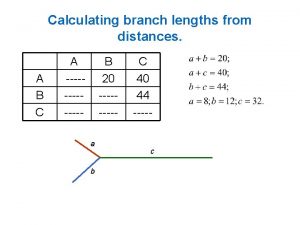 Calculating branch lengths from distances A B C