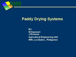 Paddy Drying Systems By M Gummert J Rickman