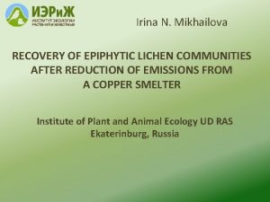 Irina N Mikhailova RECOVERY OF EPIPHYTIC LICHEN COMMUNITIES