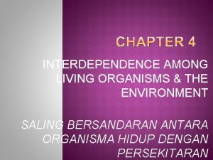 INTERDEPENDENCE AMONG LIVING ORGANISMS THE ENVIRONMENT SALING BERSANDARAN