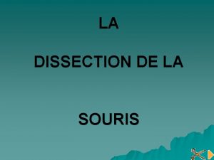 LA DISSECTION DE LA SOURIS Conception et ralisation