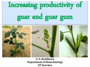 Increasing productivity of guar and guar gum G