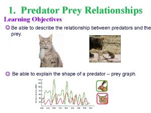 Predator prey relationship examples