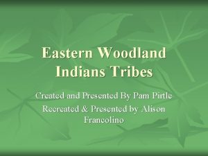 Eastern woodland indians homes